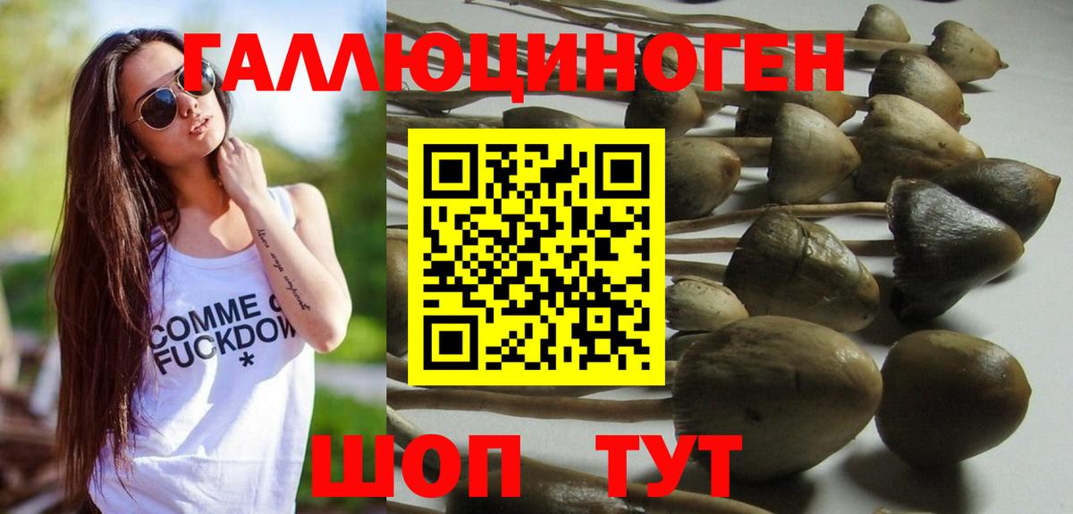 Псилоцибиновые грибы Psilocybe Анапа